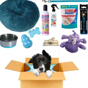 Puppy Pack Blue - Medium Deluxe - Pet Home | The Perfect Pet Supplies Shopping Experience