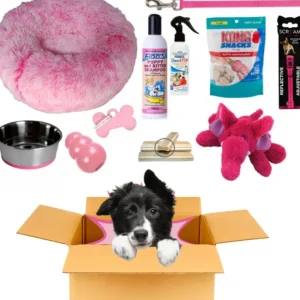Puppy Pack Pink Medium Deluxe - Pet Home | The Perfect Pet Supplies Shopping Experience