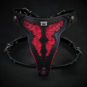 ''Red Dragon'' harness Medium Size - Pet Home | The Perfect Pet Supplies Shopping Experience