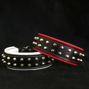 "Rocky" collar - Pet Home | The Perfect Pet Supplies Shopping Experience
