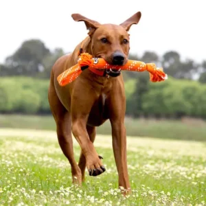 Rogz Scrubz :Medium Dog Toy - Pet Home | The Perfect Pet Supplies Shopping Experience