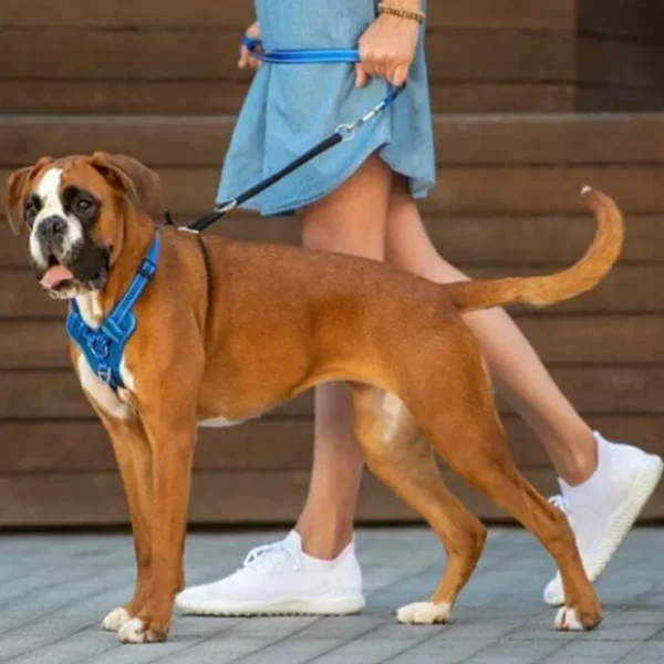 Rogz Stop Pull Harness Medium - Pet Home | The Perfect Pet Supplies Shopping Experience