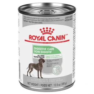 Royal Canin, Canine Care Nutrition Digestive Care Adult Loaf in Sauce - Wet Dog Food - Pet Home | The Perfect Pet Supplies Shopping Experience