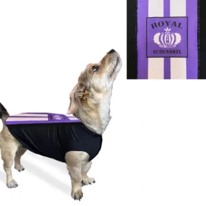 Royal Scoundrel Purple Sport Fleece - Pet Home | The Perfect Pet Supplies Shopping Experience