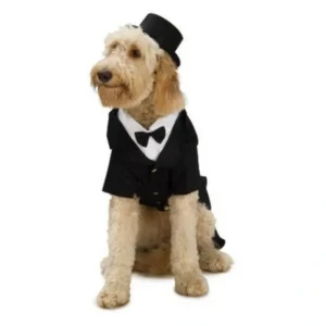 Rubies Pet Shop Dapper Dog Pet Halloween Costume - Pet Home | The Perfect Pet Supplies Shopping Experience