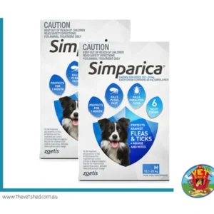 Simparica for Medium dogs 10.1 - 20kg 12 pack Flea, Tick and Mite treatment - Pet Home | The Perfect Pet Supplies Shopping Experience