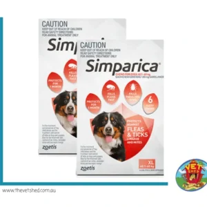 Simparica for Xtra Large dogs 40-60 kg 12 pack Flea, Tick and Mite treatment - Pet Home | The Perfect Pet Supplies Shopping Experience