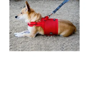 Sleepypod Martingale Dog Harness - Pet Home | The Perfect Pet Supplies Shopping Experience