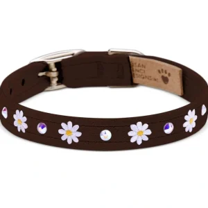 1/2" Small Daisies Collars - Pet Home | The Perfect Pet Supplies Shopping Experience