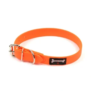Smoochy Poochy, Polyvinyl Collar - Orange - 1" Width - Pet Home | The Perfect Pet Supplies Shopping Experience