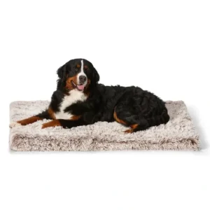 Snooza Calming Ortho Bed Mink L/XL - Pet Home | The Perfect Pet Supplies Shopping Experience