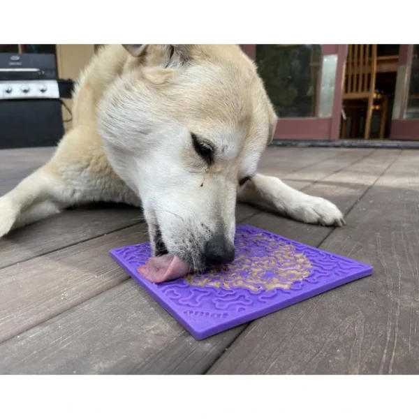 Soda Pup Bone Design Lick Mat - Pet Home | The Perfect Pet Supplies Shopping Experience