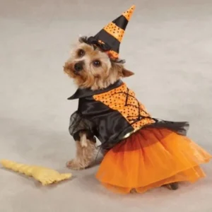 Spellhound Dog Costume - Pet Home | The Perfect Pet Supplies Shopping Experience