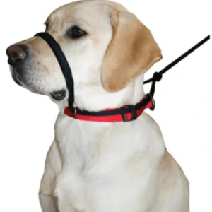 Sporn Head Halter - Pet Home | The Perfect Pet Supplies Shopping Experience