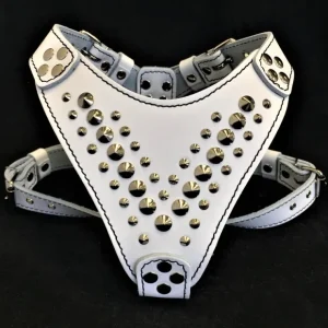 ''Star'' Harness Small to Medium size - Pet Home | The Perfect Pet Supplies Shopping Experience