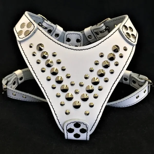 ''Star'' Harness Small to Medium size - Pet Home | The Perfect Pet Supplies Shopping Experience