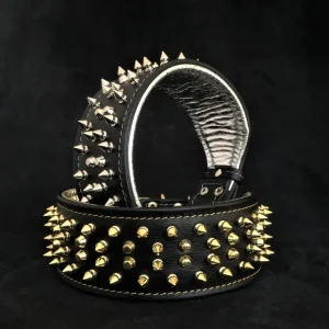 The "Crown" collar Black - Pet Home | The Perfect Pet Supplies Shopping Experience