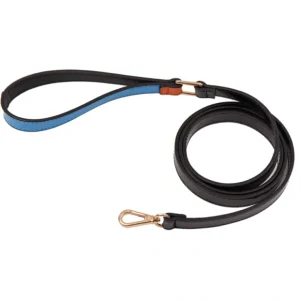 The Daisy: Handcrafted Pet Leash - Pet Home | The Perfect Pet Supplies Shopping Experience