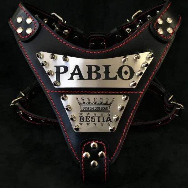 The "Metal" harness- Personalized! - Pet Home | The Perfect Pet Supplies Shopping Experience