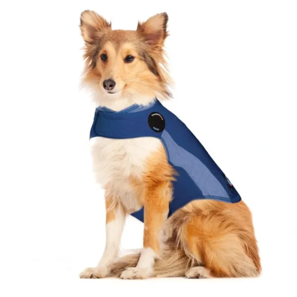 Thunderworks ThunderShirt for Dogs: Blue Polo - Pet Home | The Perfect Pet Supplies Shopping Experience