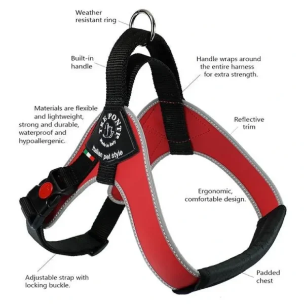 Tre Ponti Brio Harness for Medium and Large Dogs - Pet Home | The Perfect Pet Supplies Shopping Experience