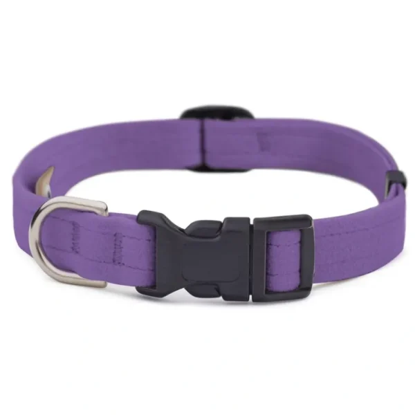 Ultraviolet Quick Release Collar - Pet Home | The Perfect Pet Supplies Shopping Experience
