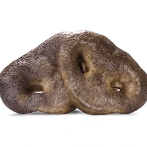 Vital Essentials - Freeze-Dried Raw Pig Snout Dog Treat - Pet Home | The Perfect Pet Supplies Shopping Experience