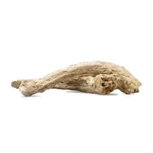 Vital Essentials - Freeze-Dried Raw Turkey Neck Dog Treat - Pet Home | The Perfect Pet Supplies Shopping Experience