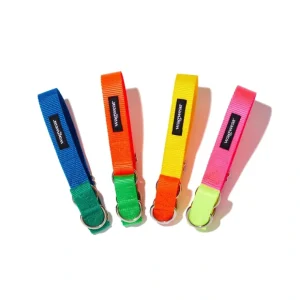 Wagwear Memphis Collar - Pet Home | The Perfect Pet Supplies Shopping Experience