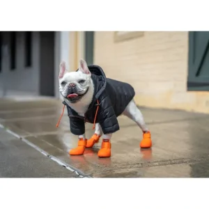 Wagwear Puffer Jacket - Pet Home | The Perfect Pet Supplies Shopping Experience