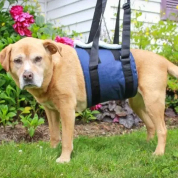 Walkin' Pets - Support Sling for Dogs - Pet Home | The Perfect Pet Supplies Shopping Experience