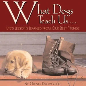 What Dogs Teach Us: Life's Lessons Learned from Our Best Friends - Pet Home | The Perfect Pet Supplies Shopping Experience