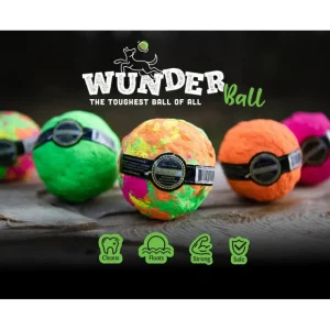 WUNDERball from WACKY walk'r - Pet Home | The Perfect Pet Supplies Shopping Experience