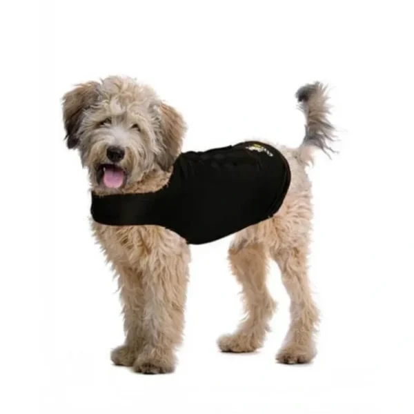 Zendog Calming Shirt for dogs - Pet Home | The Perfect Pet Supplies Shopping Experience