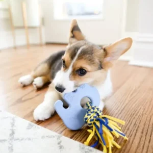 ZippyPaws ZippyTuff Teetherz - Elliot the Elephant - Pet Home | The Perfect Pet Supplies Shopping Experience